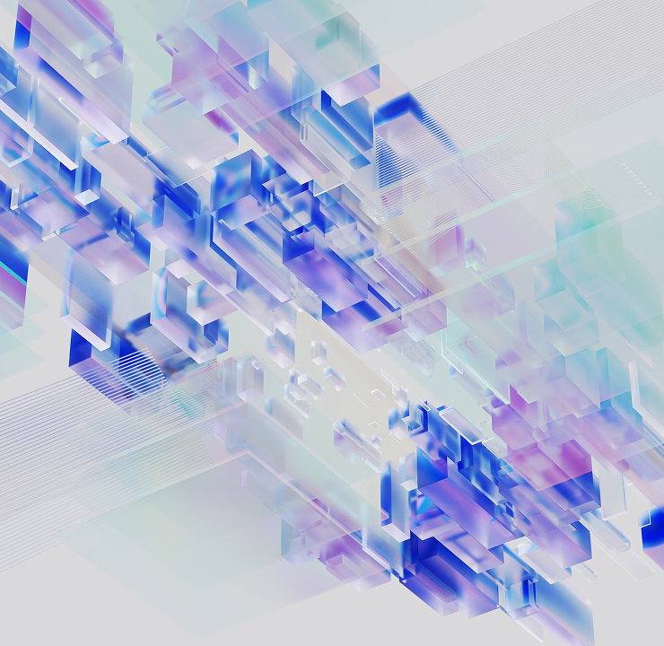 Imagen sobre la experiencia en IEBS